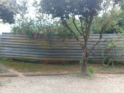 Imagem 4 de 14 de Chacara Em Vista Alegre Distrito De Cataguases Mg