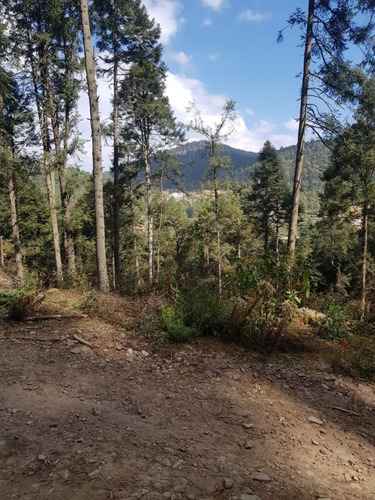 Imagen 6 de 15 de Venta De Terreno En Salazar La Marquesa Estado De Mexico