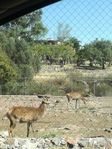 Imagen 20 de 26 de Terreno En Venta En Fraccionamiento Campestre Huichapan, Hidalgo - (2)