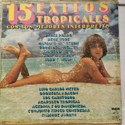 Disco Lp:mejores Interpretes- 15 Exitos Tropicales