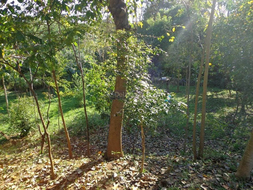 Imagem 10 de 23 de Chácara À Venda Em Chácara Bela Vista - Ch017038
