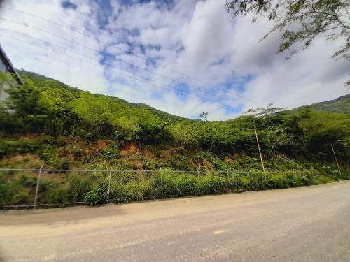 Imagen 11 de 30 de Terreno En Mampote Mls: 23-6747 (linda Sahhar)