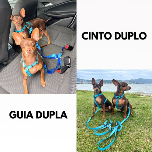 Guia Coleira Dupla E Cinto De Segurança Duplo Para Cães Cor Preto G