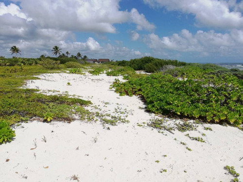 Imagen 13 de 16 de Oportunidad!! Terreno Frente Al Mar Mahahual-rio Indio P2699
