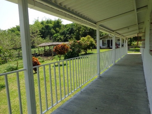 Imagen 21 de 29 de Venta Finca En Santagueda. Cod:305599