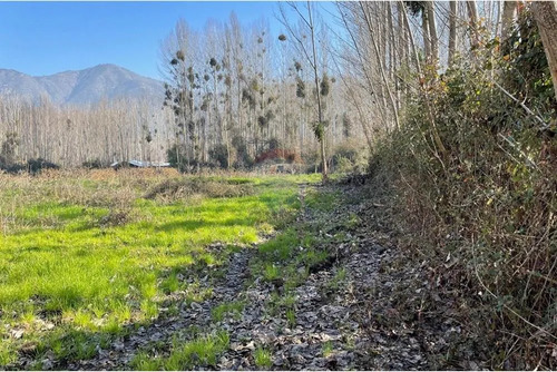 Venta De Terreno Agrícola Coltauco » Vi Región.