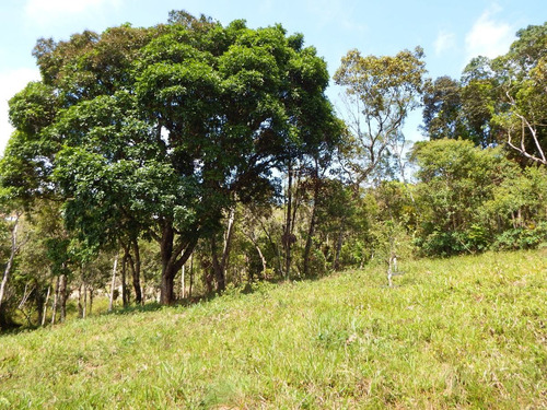 Imagem 13 de 16 de Chácara Perfeita Para Moradia 3.000 M²campinho De Futebol