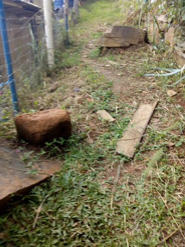 Casa A Venda No Bairro Costeira Do Pirajubaé Em Florianópolis