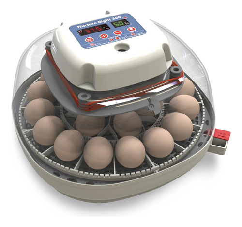 Incubadora De Huevos Hasta Capacidad Para 22 Huevos
