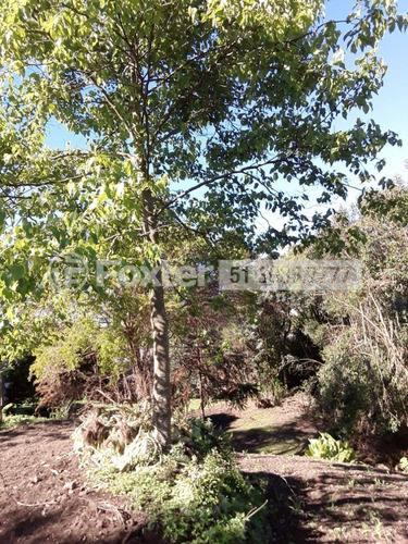 Imagem 4 de 7 de Fazenda / Sítio / Chácara, 3 Dormitórios, 300 M², Bairro Do Moinho - 202976
