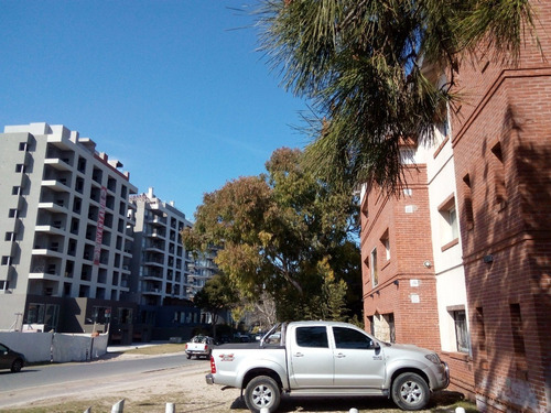 Imagen 30 de 30 de Pinamar Alquiler Promo Imbatible Semana Santa $ 15.900 Para 4 Personas Ambientes 3 Pileta Parrilla Estacionamiento