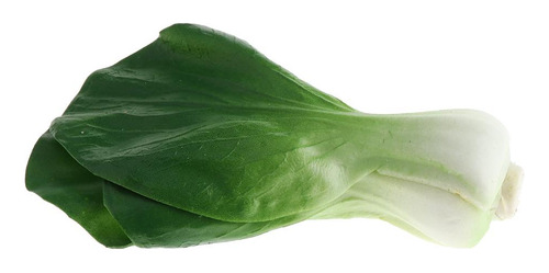 Verduras Artificiales Realistas Segundo