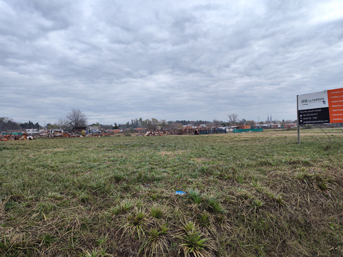 Lotes Comerciales Sobre Alsina Lujan Apto Subdivision