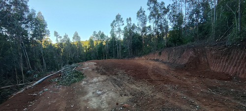 Parcela En Concepción A 5 Minutos Collao Después D Palomares