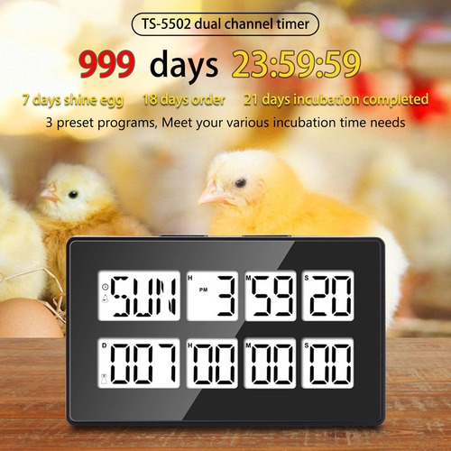 Digital Kitchen Timer, Reg Account Temporizers