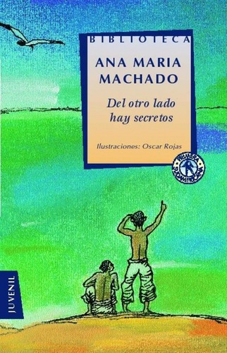 Del Otro Lado Hay Secretos - Ana Maria Machado, De Ana María Machado. Editorial Sudamericana Infantil Juvenil En Español