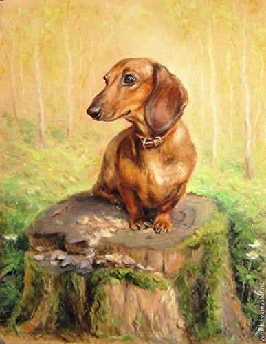 Pintura Diamante 5d Diy Dachshund Perro Salchicha 12 X 16 