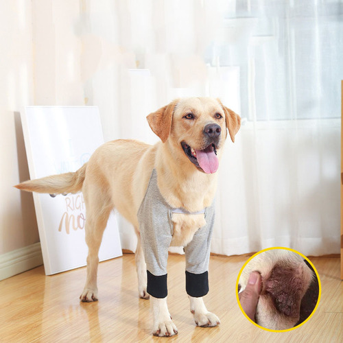 Rodilleras For Mascotas Coderas For Perros Espinilleras