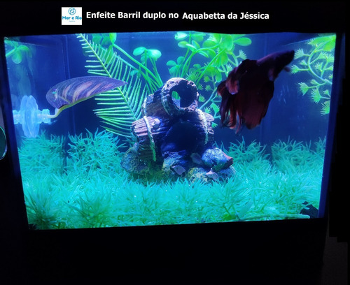 Imagem 2 de 8 de Enfeite Aquário Barril Duplo Toca Do Betta Decoração Plantas