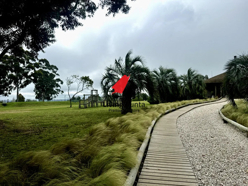 Hermoso Lote En Venta De 5000 Mtrs 2