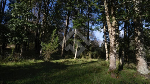Sitios En Venta En Panguipulli