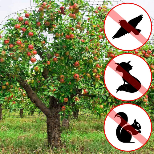 Red Para Pájaros, 7 X 100 Pies, Red De Valla De Ciervo Negro