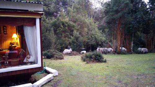 Terreno Con Bosque Nativo, Bosque De Arrayanes Y Riachuelo