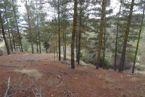 Terreno Tunquén: Naturaleza Y Vista Al Mar