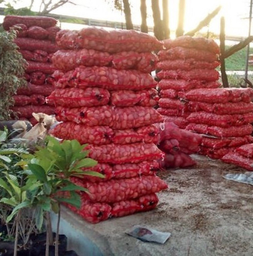 Imagen 5 de 8 de Piedra Decorativa De Rio Varios Colores Y Tamaños 10 Kilos
