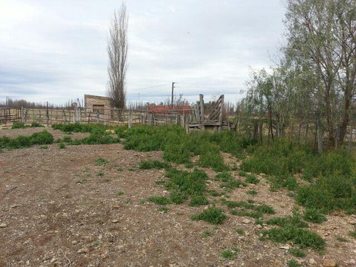 Imagen 12 de 30 de Finca De 62 Ha - General Alvear- Mendoza