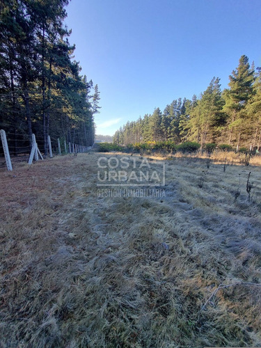 Oportunidad De Inversión: Gran Terreno En Los Pinos