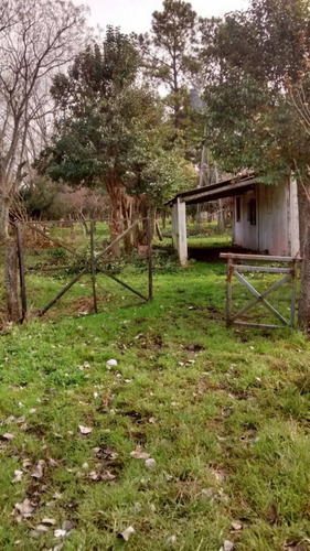 Imagen 6 de 19 de Casa Campo En Venta Ubicado En Fátima, Pilar, G.b.a. Zona Norte