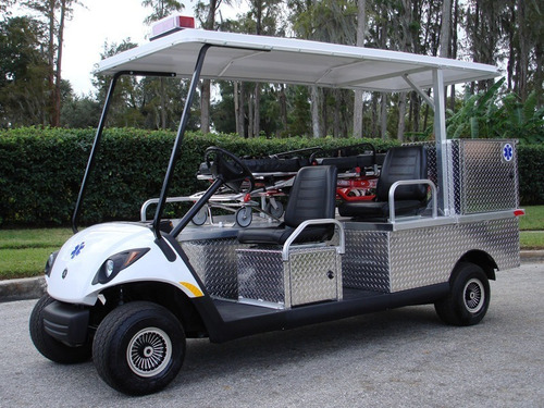 Imagen 7 de 13 de Transporte , Proveedor Vehiculos Electricos P/ Hoteles