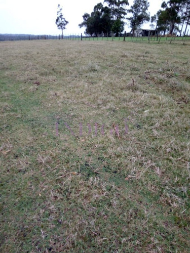 Imagen 4 de 6 de Chacra En Venta - Zona Rural Zona Rural