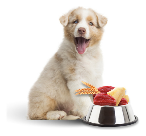 Nucan Cachorro By Nupec 20kg Alimento Balanceado Para Perro