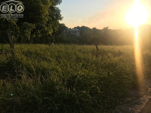Imagem 4 de 7 de Terreno - Tr02045 - 69523579