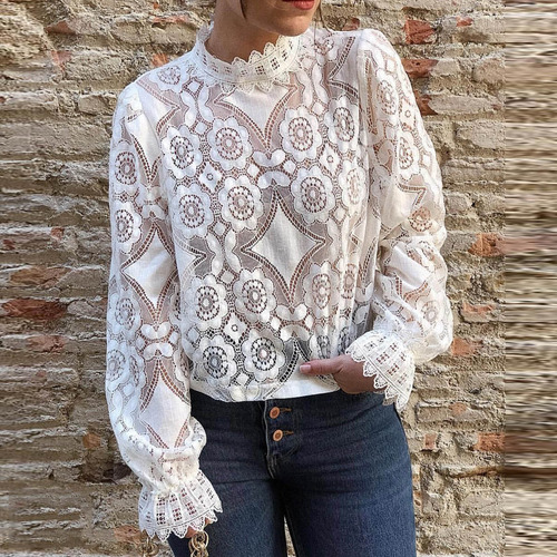 Blusa Transparente De Encaje Con Cuello Alto Y Manga Larga P