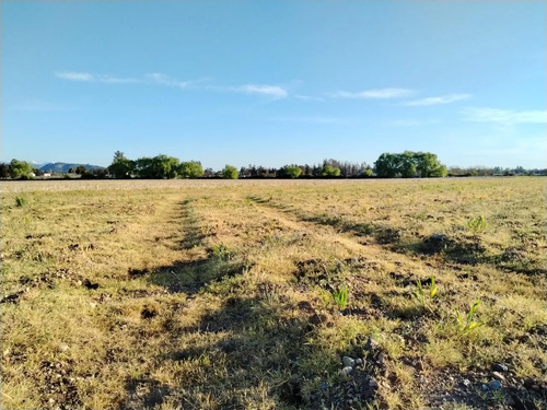Terreno Agrícola De 33,5 Ha - Campo En Venta, San Clemente