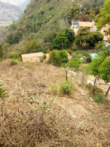 Imagen 4 de 14 de En Venta Terreno De 750m2 Urb La Peña El Faro San Antonio