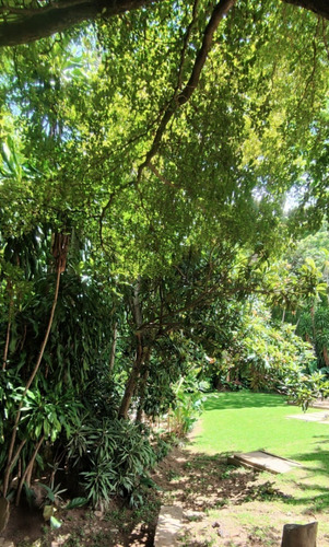 Imagen 6 de 30 de Casa En Venta En Los Chorros