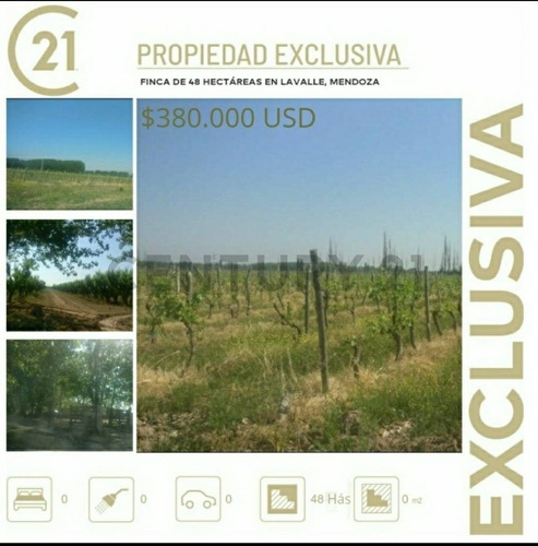 Imagen 10 de 10 de Finca De 48 Hectáreas En Lavalle, Mendoza