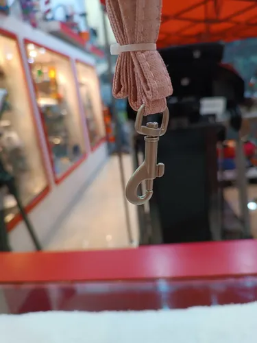 Collar Y Correa Para Perros