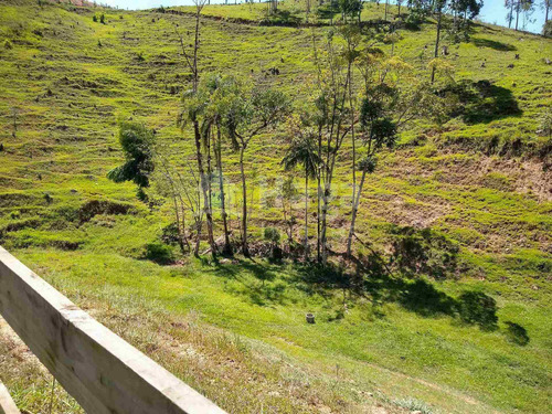 Imagem 7 de 16 de Terreno À Venda No Bairro Salto Águas Negras - Botuverá/sc - 2200t