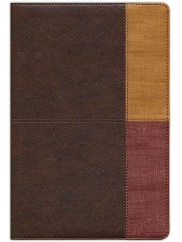 Imagen 1 de 10 de Rvr 1960 Biblia Arcoíris Cocoa Terracota Símil Piel Índice