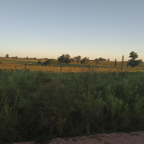 Vendo Muy Buen Campo Con Aguada Pte, Monte, Todo Alambrado!!