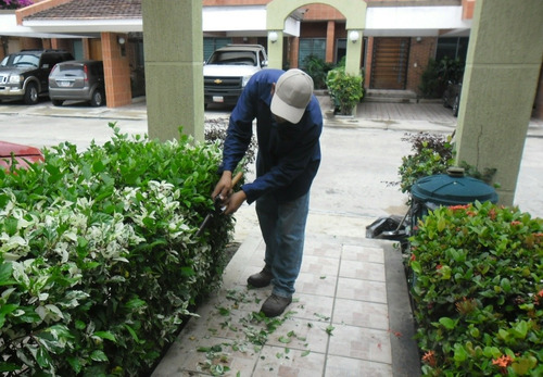 Imagen 2 de 10 de Servicio De Jardinería