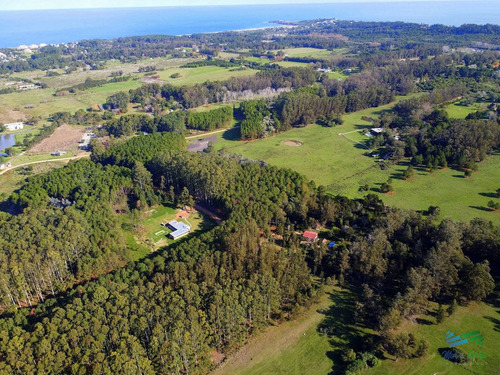 Imagen 2 de 11 de Vendo Terreno De 1 Hectárea Tipo Chacra En Laguna Del Diario, Punta Del Este