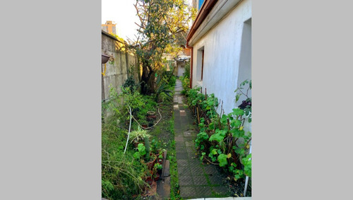 Imagen 3 de 7 de Venta Sitio Ohiggins Cercano A Roosevelt