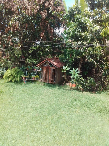 Imagem 9 de 30 de Chácara 1 Alqueire, Acesso Asfaltado, 2 Casas, Sendo Uma Com 3 Dormitórios, Área Gourmet Com Churrasqueira, Pomar, Horta, Galinheiro - Ch00200 - 70578730