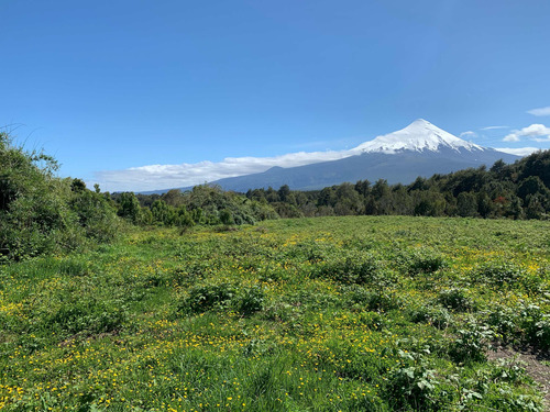 Terreno - Parcela En Ensenada, Puerto Varas